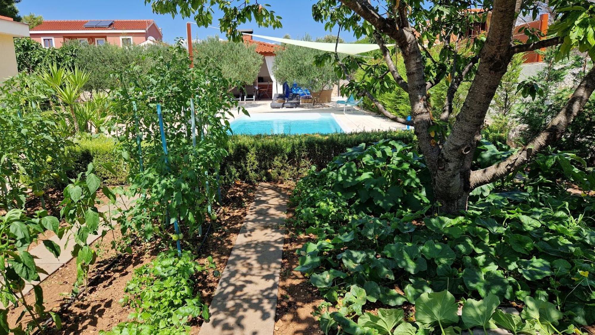 Resort Apartment Petrovic Šibenik Extérieur photo